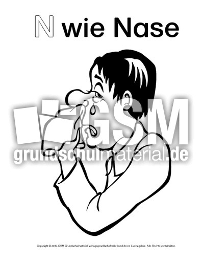 N-wie-Nase-2.pdf